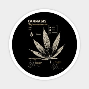 Cannabis Weed Lover Marijuana 420 Cannabis Leaf Anatomy Magnet